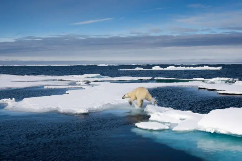 The Arctic Ocean is the Smallest Ocean Oglamo Reads