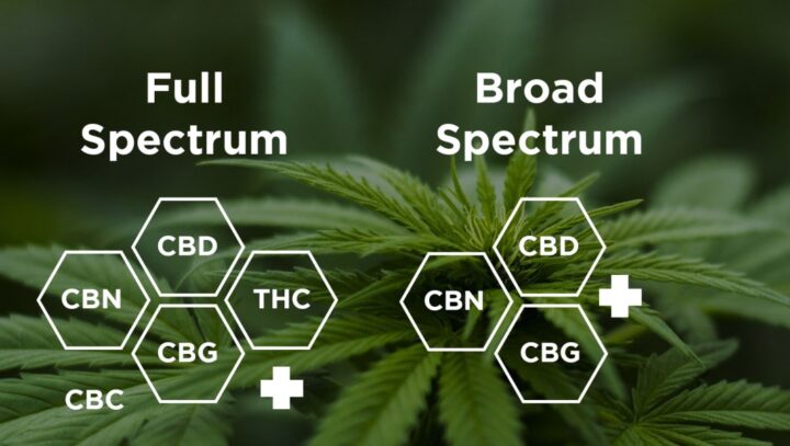 Full spectrum / borad spectrum