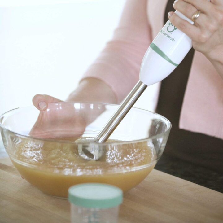 How To Choose an Immersion Blender for Baby Food 5 Essential Tips