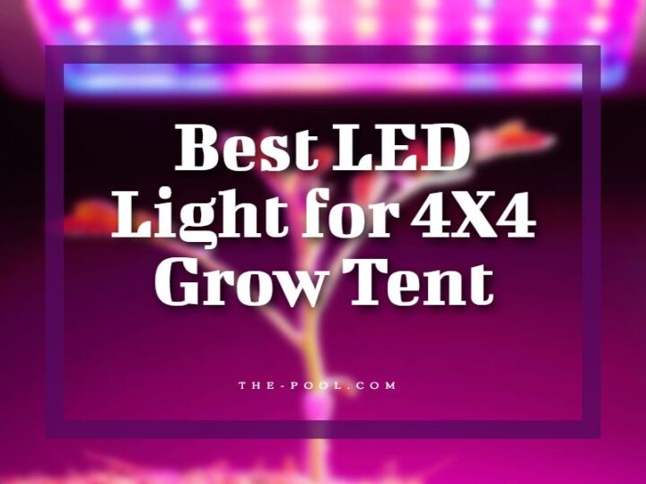 Best LED Light for 4X4 Grow Tent