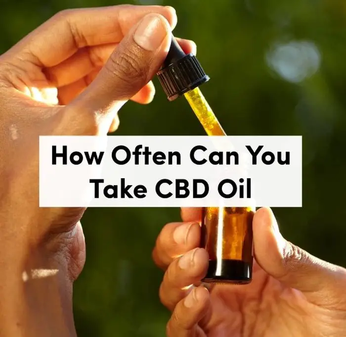 How Many Times A Day Should You Take Cbd Oil 2023 Guide