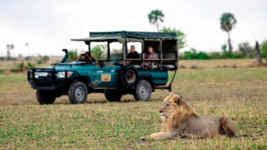 Botswana's Hidden Gems - Lesser-Known Safari Attractions to Visit in 2024