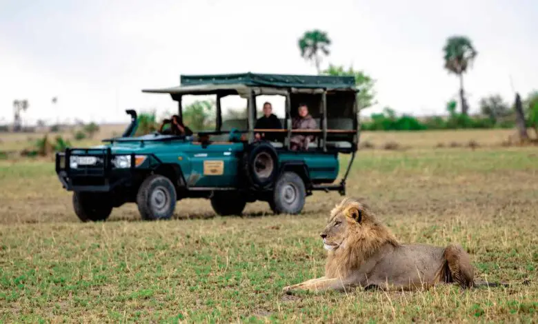 Botswana's Hidden Gems - Lesser-Known Safari Attractions to Visit in 2023