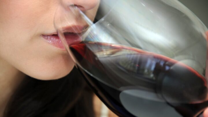 Developing wine Palate by tasting