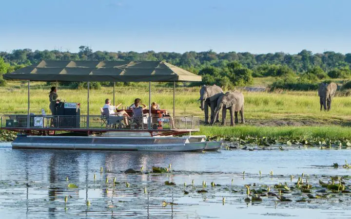Lesser-Known Gems in Chobe National Park