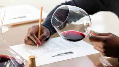Wine Tasting 101 - Tips for Exploring the World of Flavors
