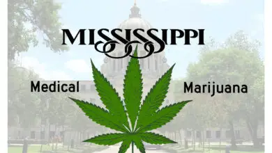 Is Medical Marijuana Legalized in Mississippi