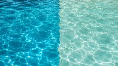 Close-up water comparison for saltwater vs mineral pools in a small backyard pool